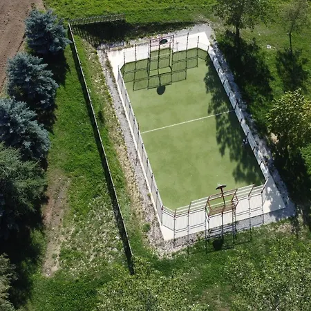 Bleuets Vi * Sainte-Léocadie