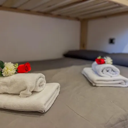 Bleuets Vi Sainte-Léocadie