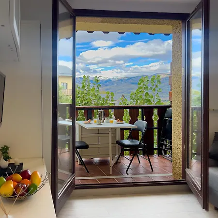 Bleuets Vi Sainte-Léocadie